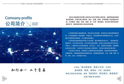 武漢眾咨信息技術(shù)有限公司 信息技術(shù)咨詢服務(wù)的典范與實(shí)踐